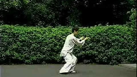 Chen Taiji xiaojia with Chen Pei-Shan