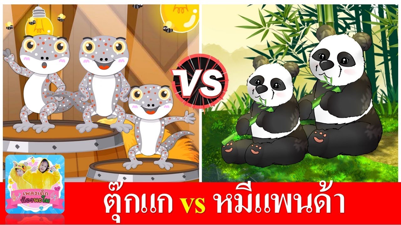 ตุ๊กแก vs หมีแพนด้า