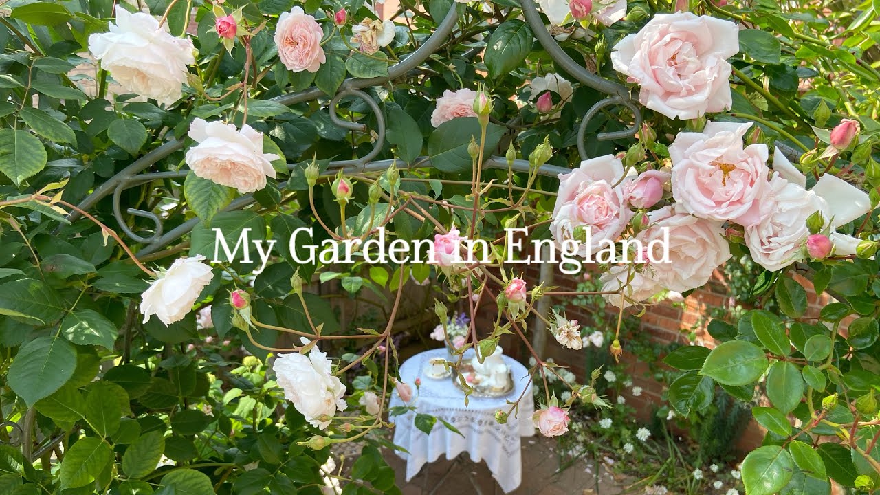 Tea Time with me in the Garden | Laura Ashley Gardening Items 