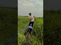 म्हारे गांव का बिजनेस ।। #funny #comedyshorts #comedy #comedyvideos #entertainment #गांव