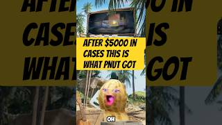 Peanut Unboxed A Knife