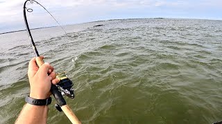 Things Got OUT OF HAND! (Bottom Fishing For Meat Fish)