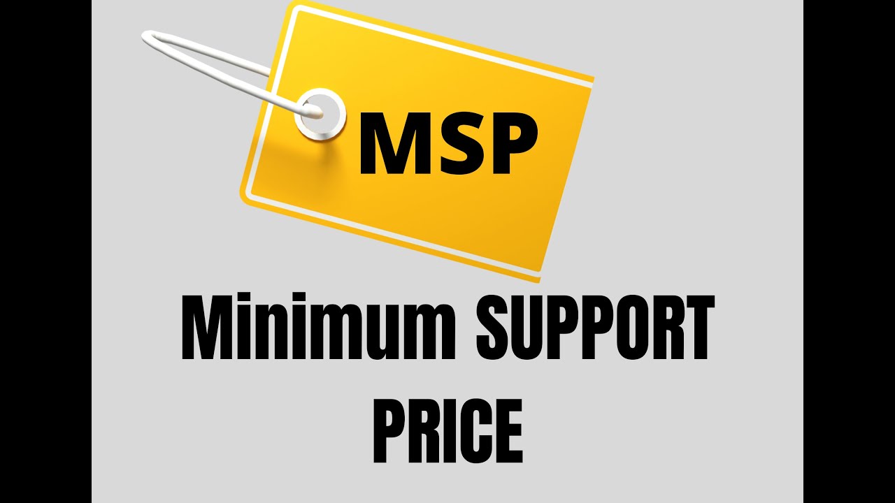 MSP Full Form In English Do You Know MSP YouTube msp-full-form-in-english-do-you-know-msp-youtube