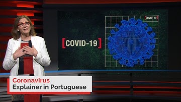 Portuguese: Coronavirus Information in Your Language | Information Video | Portal Available Online
