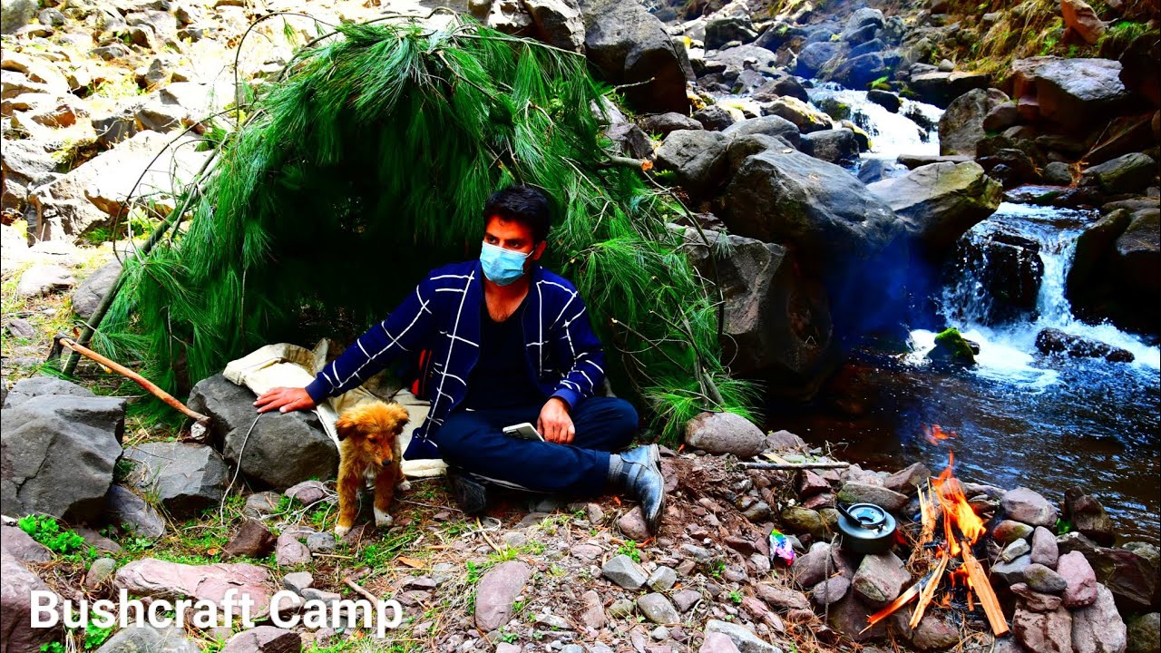 Bushcraft Camping On Lake With My Dog 🐕 - Forest Bushcraft - Solo ...