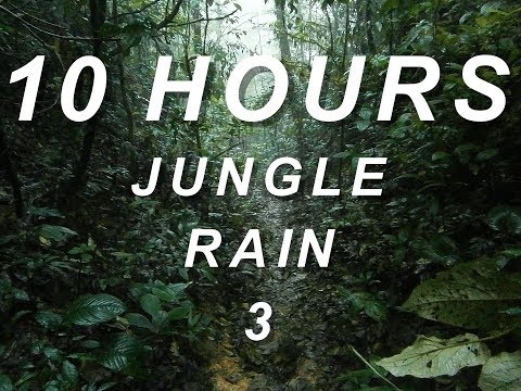 Jungle Rain 3 - Relaxing Nature Sounds 10 Hours