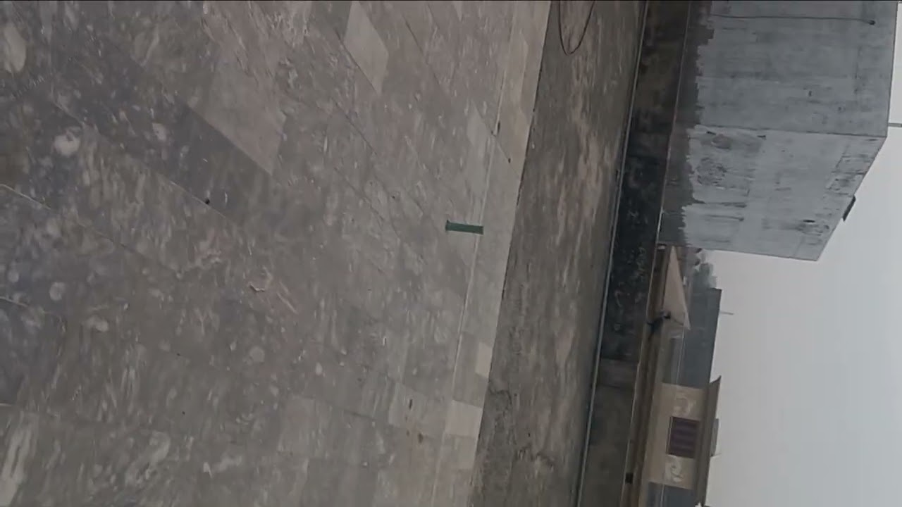 Ollie getting hungry to hunt and eat a crow