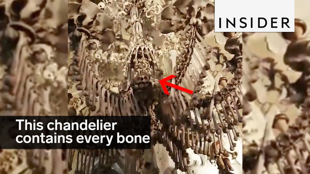 This Massive Chandelier Contains Every Human Bone You This Massive Chandelier Contains Every Human Bone