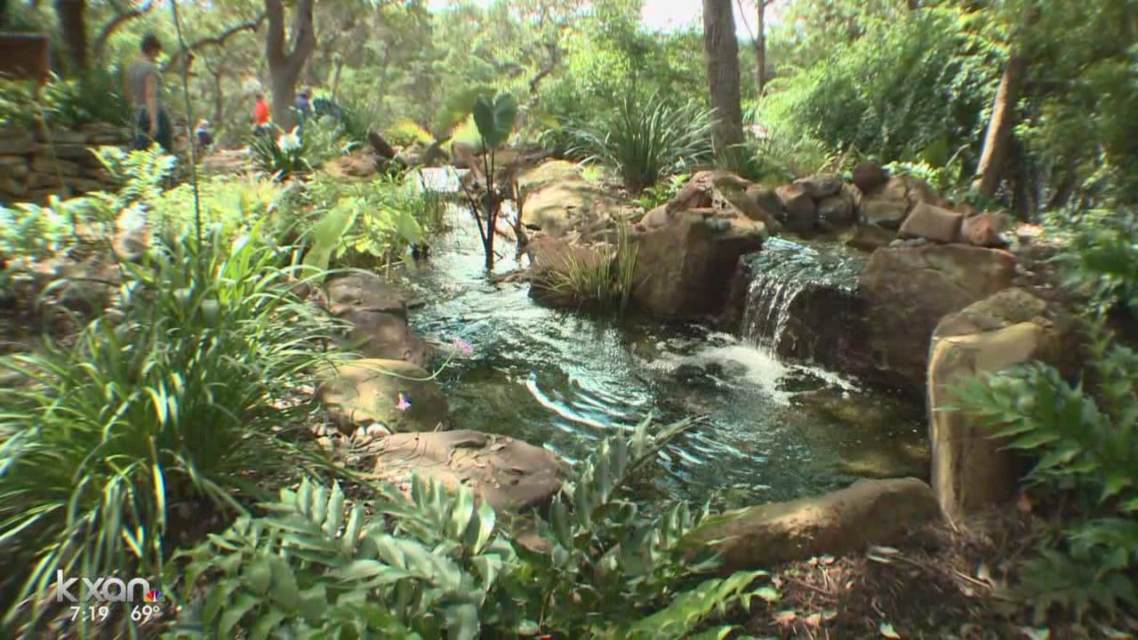 The Weekend Gardener: Austin Pond and Garden Tour