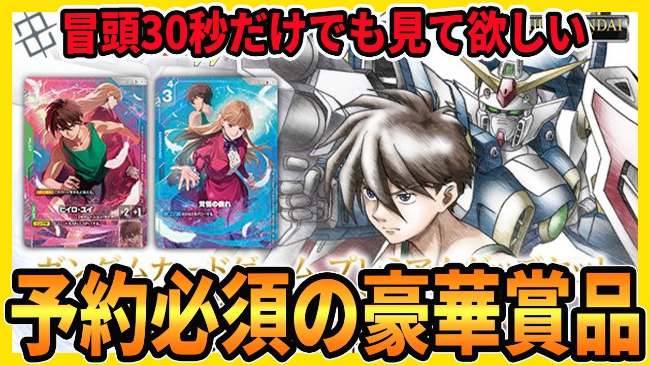 ガンダムカード　ウイングガンダムセット プレミアムグッズセット -新機動戦記ガンダムW- [PB01