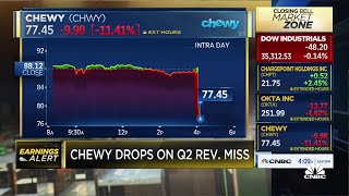 Chewy shares under pressure after Q2 earnings