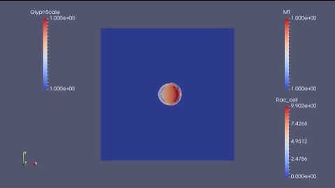 Cell Migration SImulation