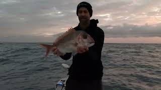 Sounding Shallow Water Snapper - Tackling Australia