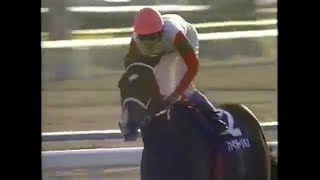 ファインモーション エリザベス女王杯 競馬 ぬいぐるみ AVANTI 新品G ファインモーション エリザベス女王杯 競馬 ぬいぐるみ AVANTI