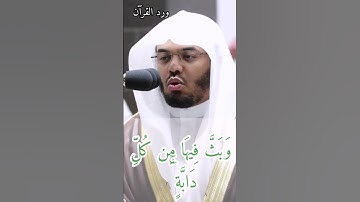 تلاوة الشيخ ياسر الدوسري بخشوع من سورة لقمان من قناة ورد القرآن #ياسر_الدوسري #قرآن