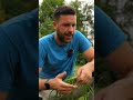 come fare l'#orto nel 2024 #mattthefarmer #ortosulbalcone #faidate #natura