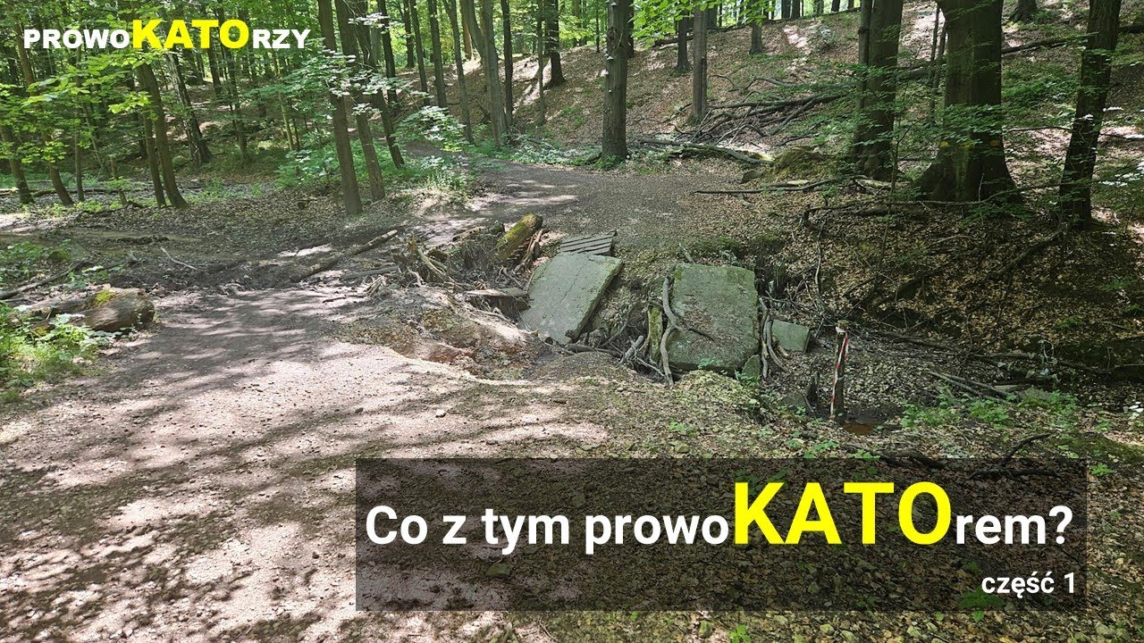 ProwoKATOr - co z tym prowoKATOrem? Część 1