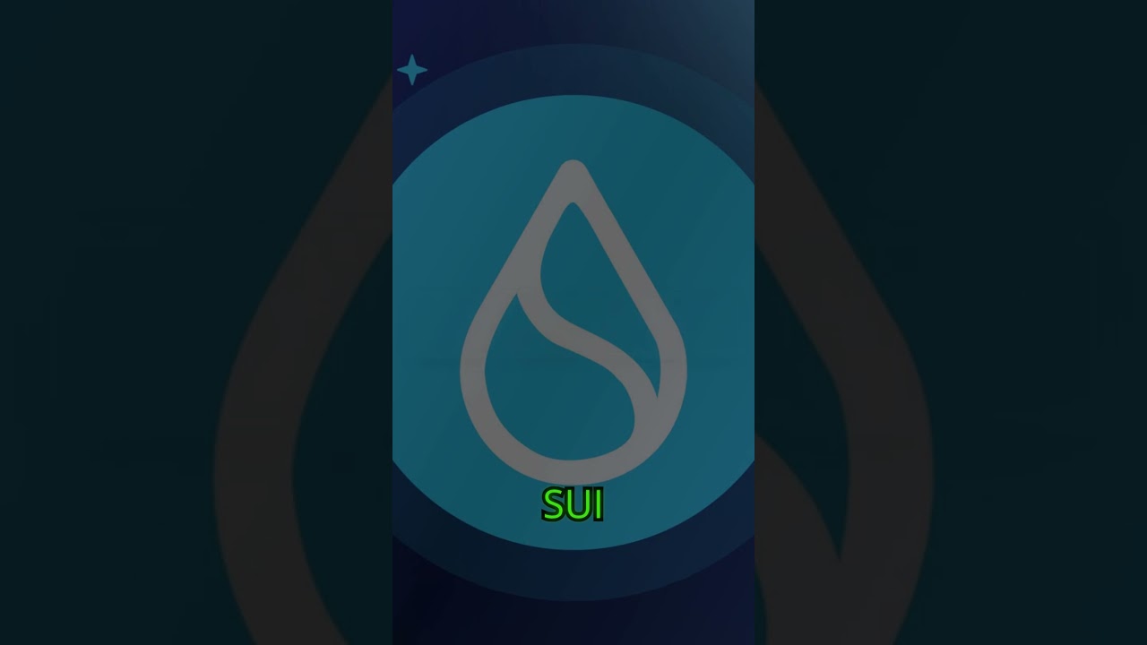 What is Sui?