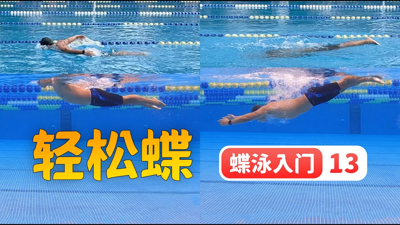 【蝶泳入门】13.轻松蝶（主要是手轻松出水面）