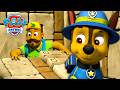 Lost in the Maze! 🌀 Pups Find Their Friends! 🐶🌴 | PAW Patrol | Compilation