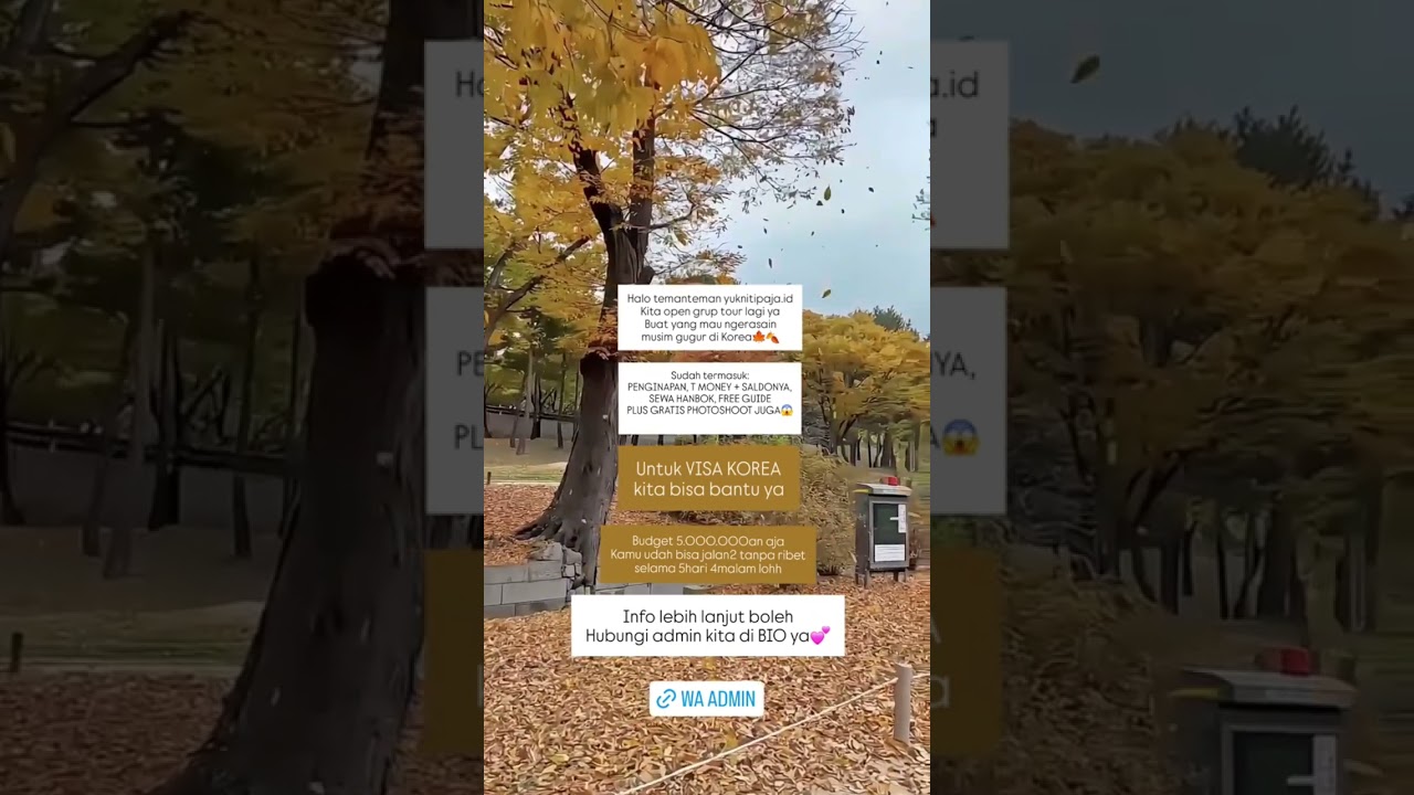 Paket Tour Autumn in Seoul Korea 