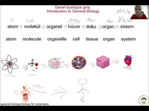 مدخل إلى درس علم الأحياء العام  دو رة البيولوجي الأحياء للمهندسين 01