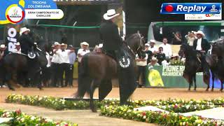 42º EXPONACIONAL EQUINA FEDEQUINAS - BUCARAMANGA 2026 - DIA 4 - TROCHA COLOMBIANA .