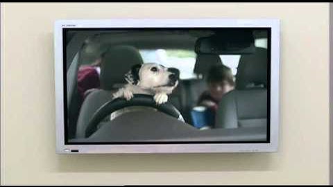 [Fun@Work] Dogs_Home_TV_Ad