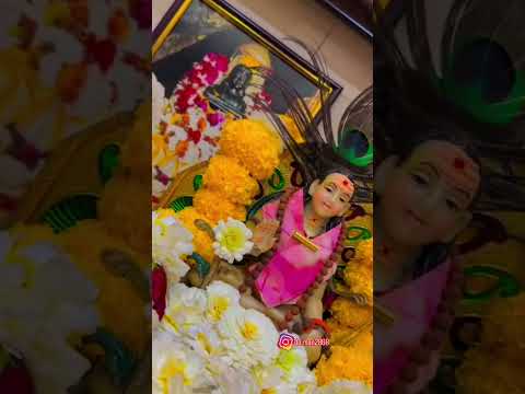 jai baba ponahari 🙏❤️