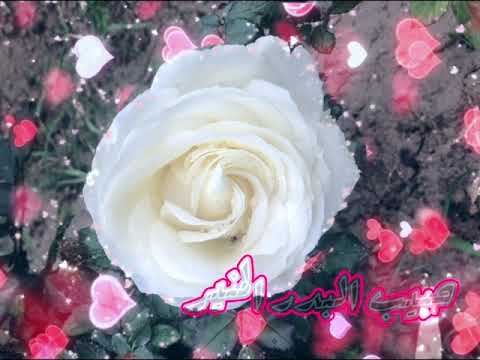 سامي يوسف صلو عليه شفيع الأمة