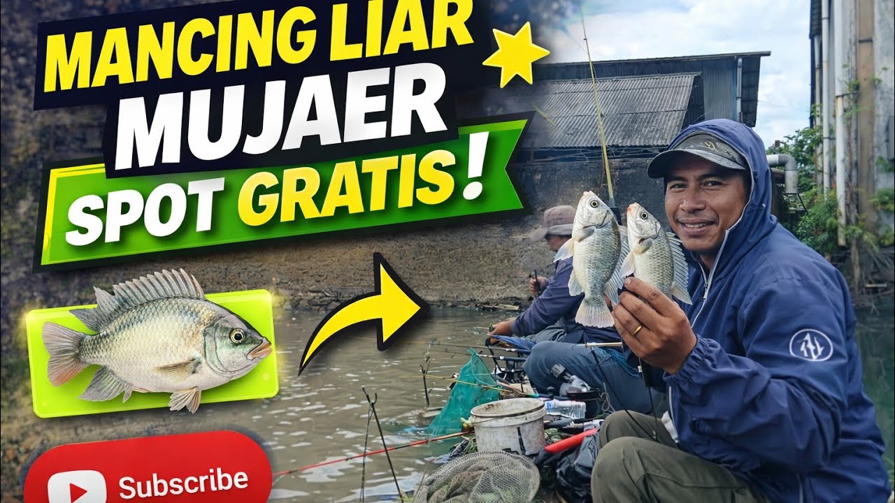 Mancing liar belakang pabrik | mujaer | TILAPIA 