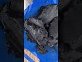 Black brick installation #bricklaying