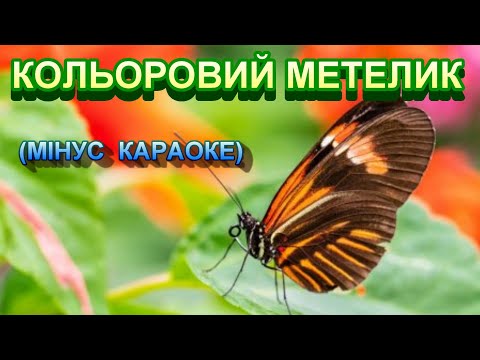 КОЛЬОРОВИЙ МЕТЕЛИК МІНУС КАРАОКЕ