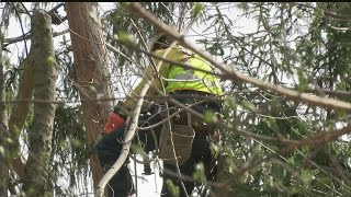 Ohio Edison Still Working To Restore All Power In The Area