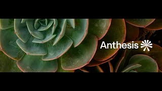 Anthesis. Guiding you to Sustainable Performance