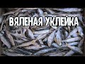 Как засолить/завялить уклейку.Легко и просто!