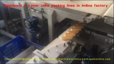 Rapidpack layer cake packing line in India1608