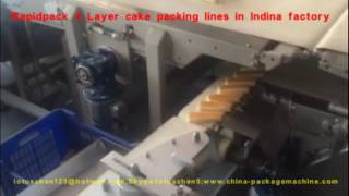 Rapidpack layer cake packing line in India1608