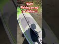 Went fishing on my paddleboard and caught some fish!