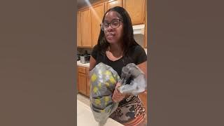 Jayla’s Page is live!