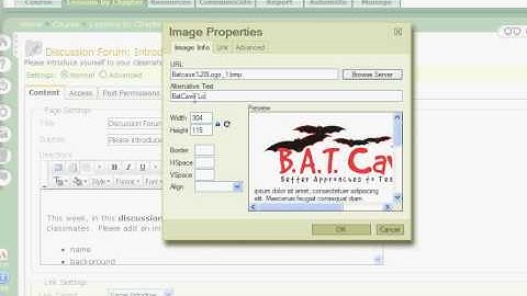 WYSIWYG Editor in ANGEL - Adding an Image