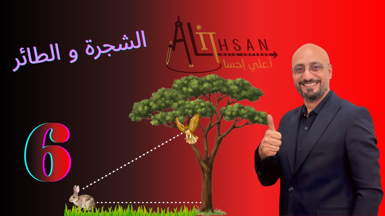 الشجرة و الطائر