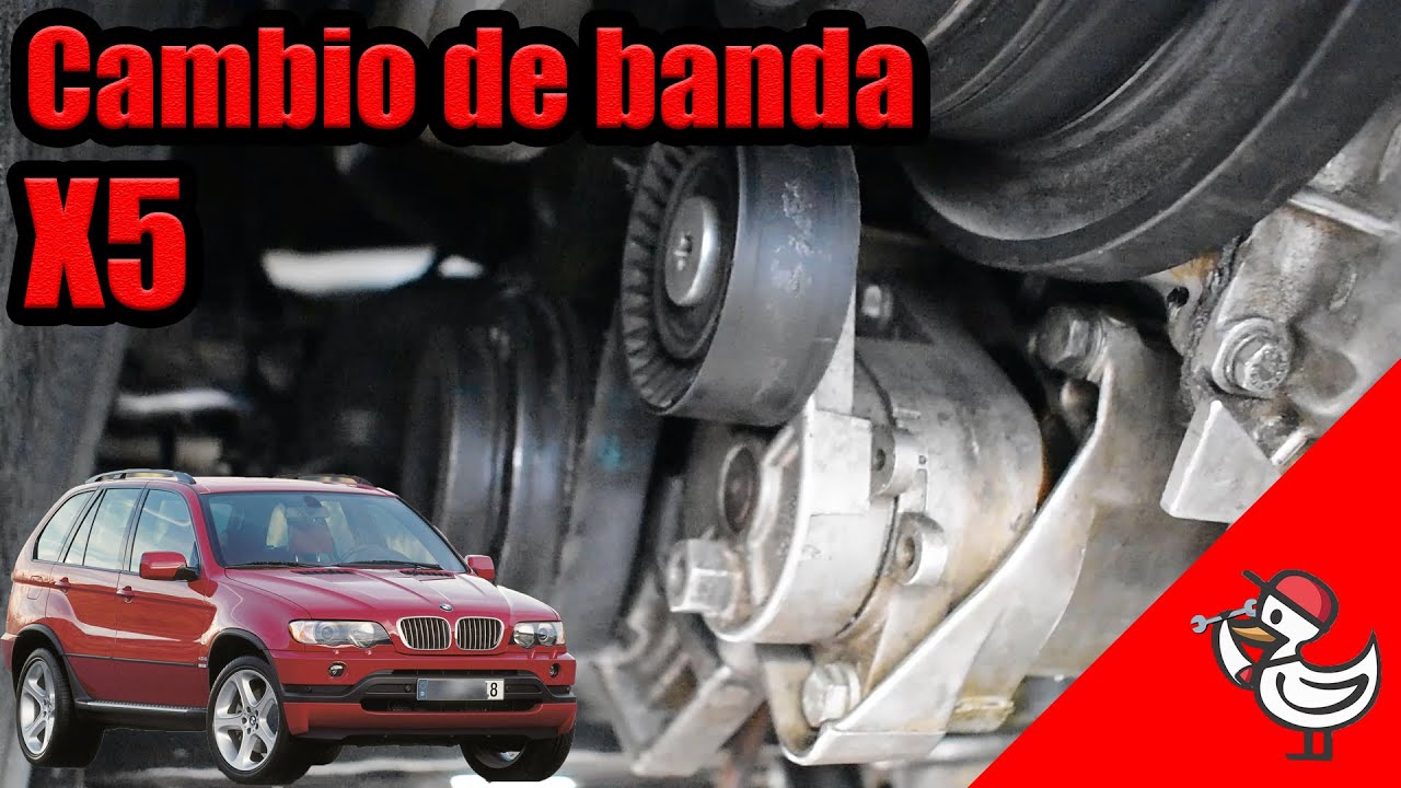 Cambio de banda de accesorios BMW X5 2002 