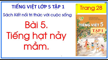 Bài 5. Tiếng hạt nảy mầm Tiếng Việt 5 Tập 1 Kết nối tri thức . trang 28.