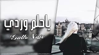 يا حلم وردي   ويا نبض قلبي  غنيه عراقي جديد      - اسمعها