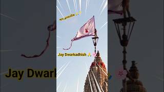 Madhav Mara Mohanji Cover Song | Vivek Vlogs | Gujarati #shorts #dwarkadhish