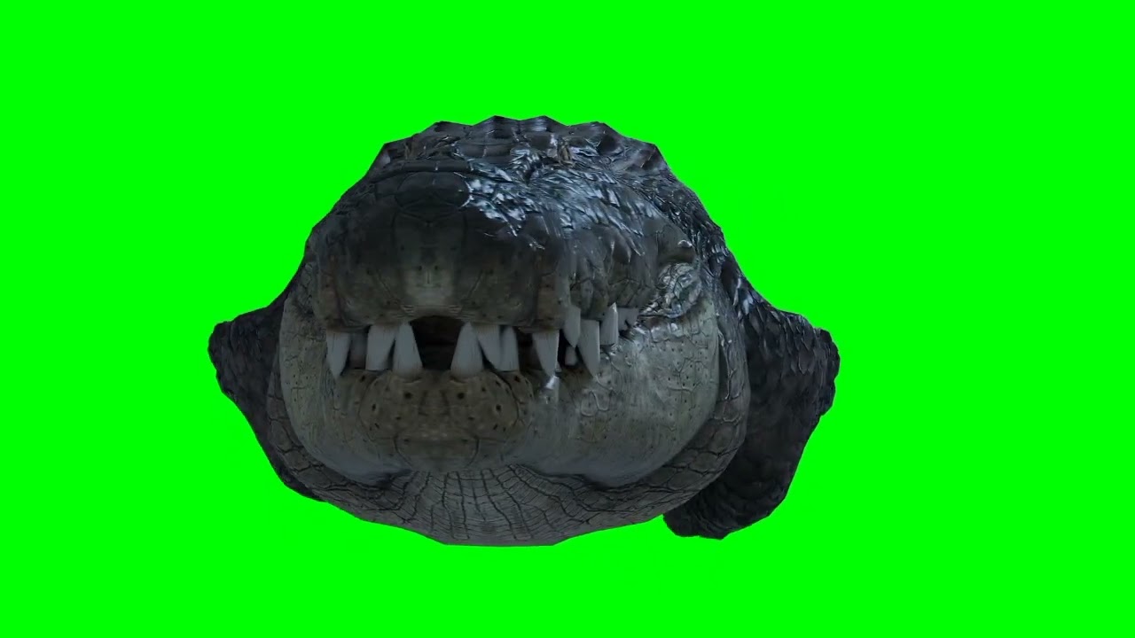 cocodrilo green screen
