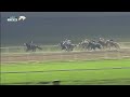 RM12  Al Rayyan RACE-6  Brooq Cup