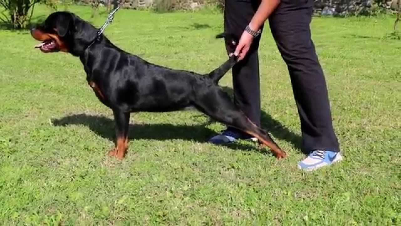 Zara from Naomi Stars - October 2014