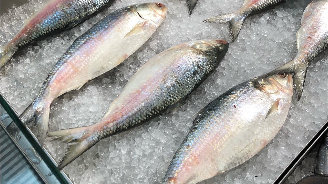 AKLU PLAZA ROMFORD ~ BIGGEST BANGLADESHI MALL UK ~ BANGLADESHI FISH